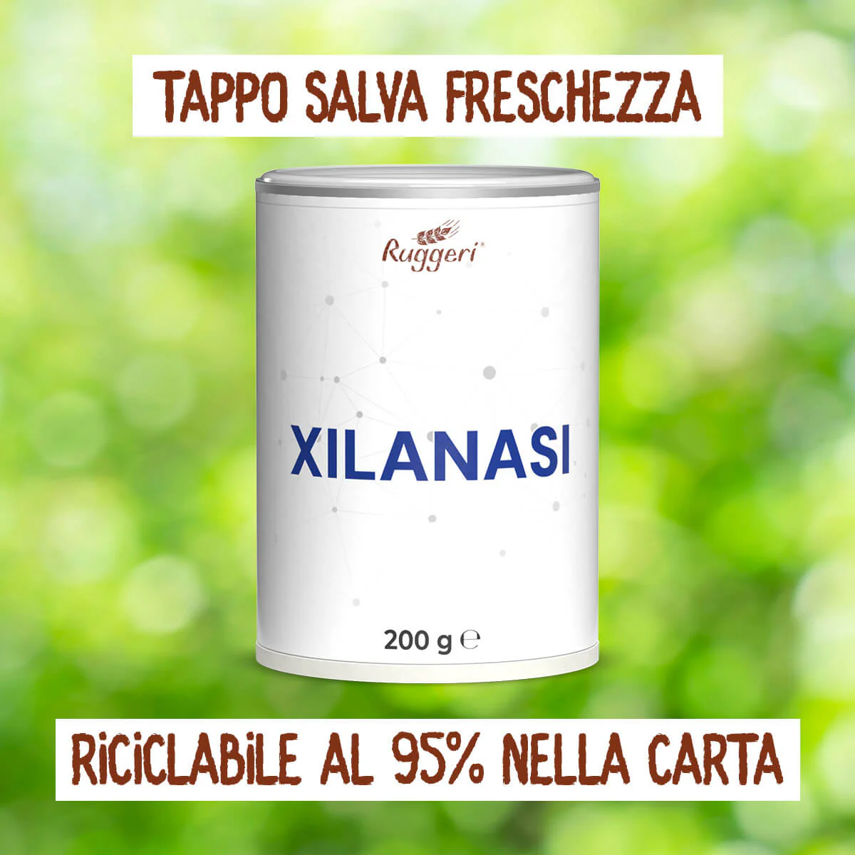 Enzima Xilanasi - Image 4